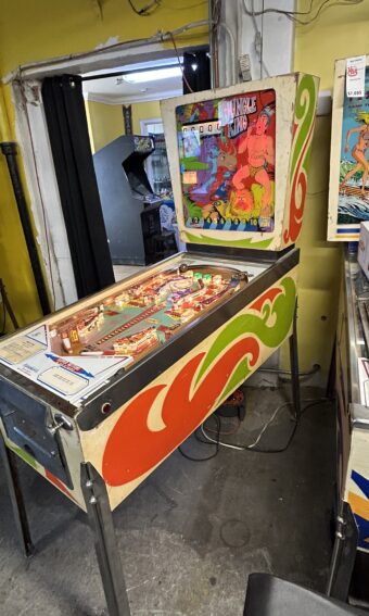 Jungle King Pinball